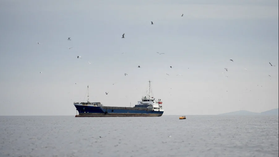 Strait of Hormuz Reopens Amid Ceasefire, Trump Maintains Naval Pressure on Iran